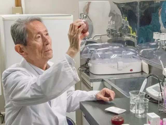 日本的手工皂 (拼团日本手工皂)