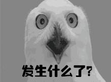 40多斤鱼被找到了,29斤未处理河豚不翼而飞