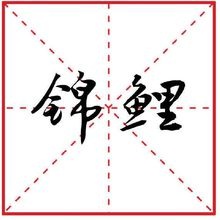 特眼熟？盘点2018十大流行语支付宝大礼带火“锦鲤”成好运象征