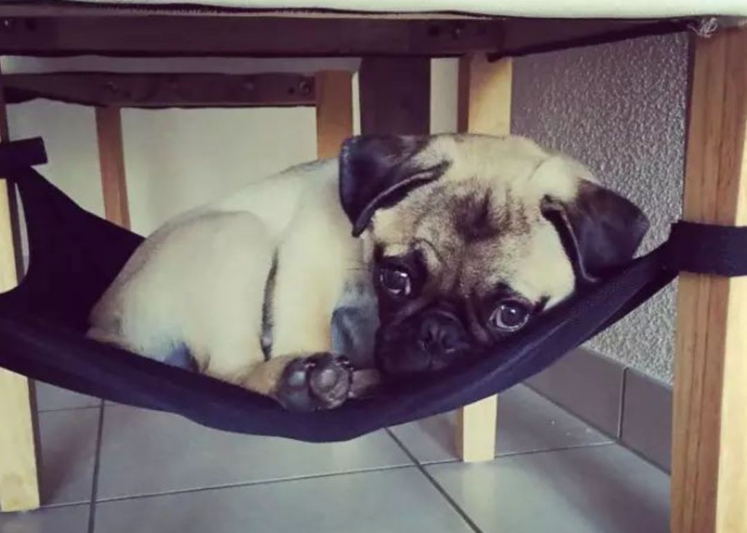 颠覆想象的生活懒人神器,真正的懒人神器