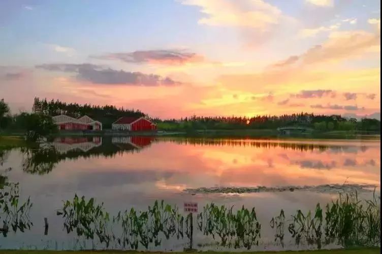 上海浦江郊野公园春节开放吧,上海浦江郊野公园一日游攻略大全