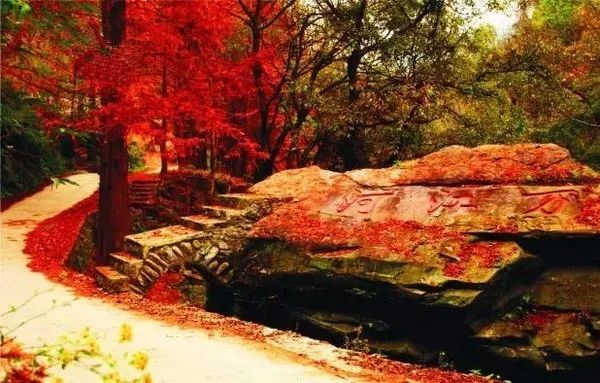 有了绿牌还能拥有大牌,有了绿牌再去拍蓝牌