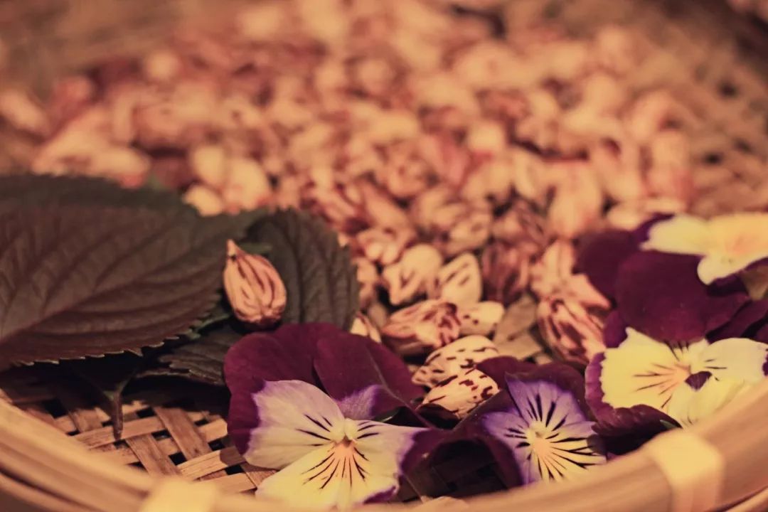 闲时赏花听歌静时看书喝茶,一处悠闲安静的好去处