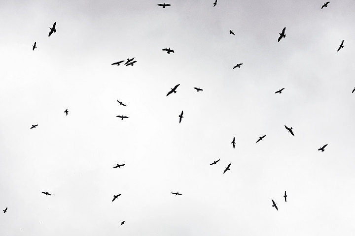 跨界造车梦,王文学造车