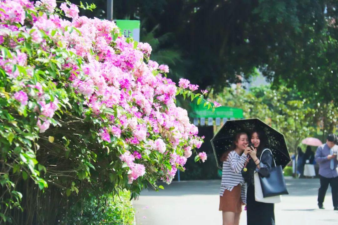 盘点那些美丽的校园时光,盘点那些美丽的校园