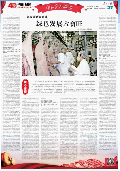 改革开放40年农村经济的变化,农村改革开放40年经济发展