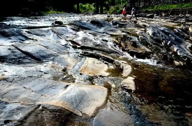 有了绿牌还能拥有大牌,有了绿牌再去拍蓝牌
