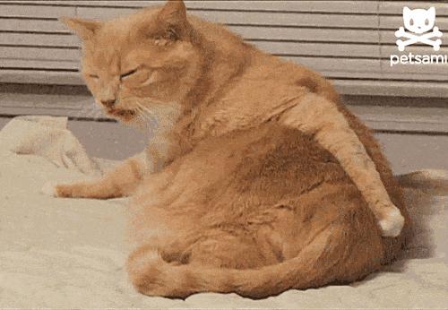 福建一男人发烧去世,一位小伙长期痔疮便血导致了死亡