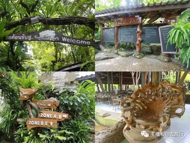 泰国落地签最新政策2023价格,泰国落地签30天政策