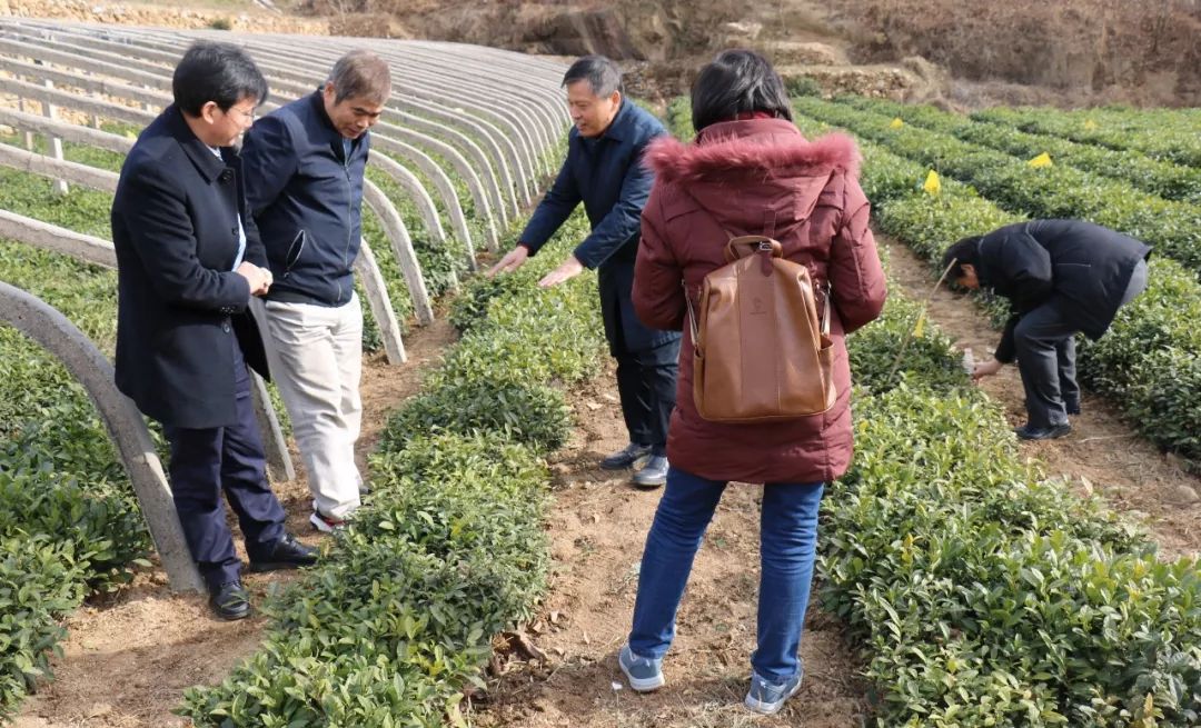 「要闻」大冷天，岚山刮起一场“头脑风暴”这个产业将迎来发展春天！