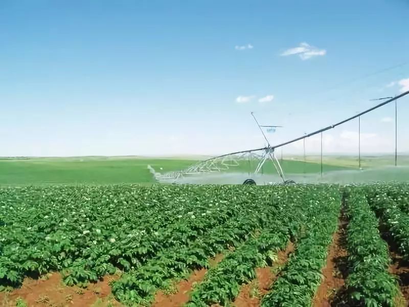 改革开放40年农村经济的变化,农村改革开放40年经济发展