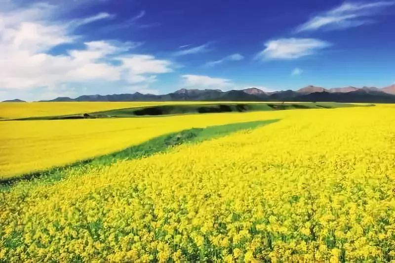 改革开放40年农村经济的变化,农村改革开放40年经济发展