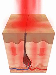 新「神雕」要拍了，你知道郭襄背后那些不可告人的抗元故事吗？