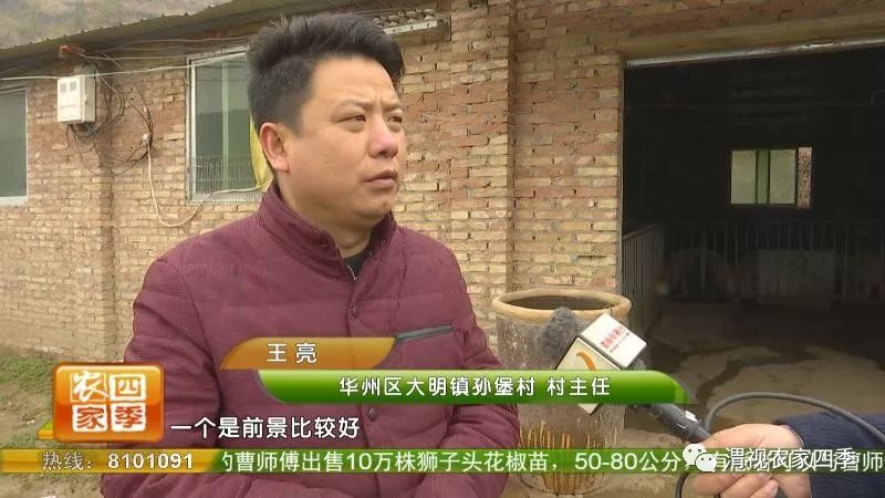 孙堡村的来历,孙堡村简介