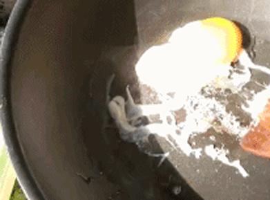 德国物理不粘锅,德国物理不粘锅是真的吗