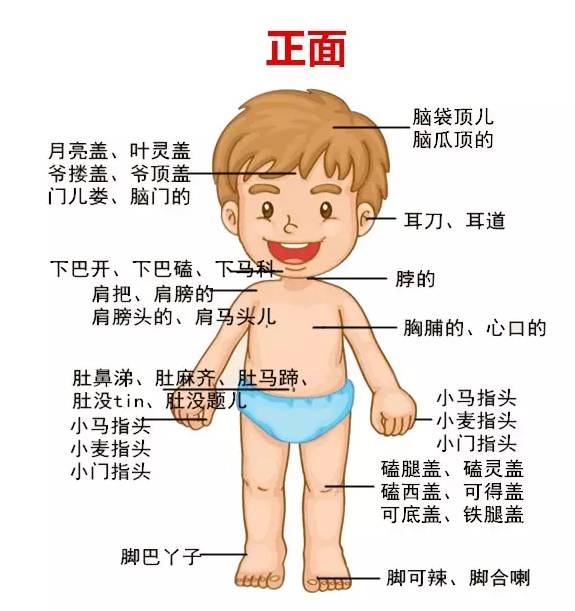 如何证明你是邯郸人,怎样证明你是包头人