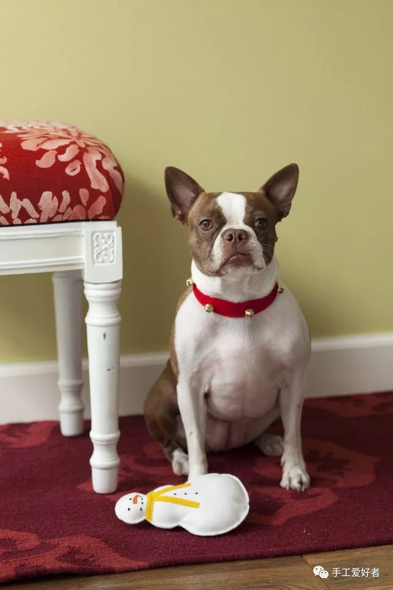 圣诞小家庭布置,改造家里的气氛