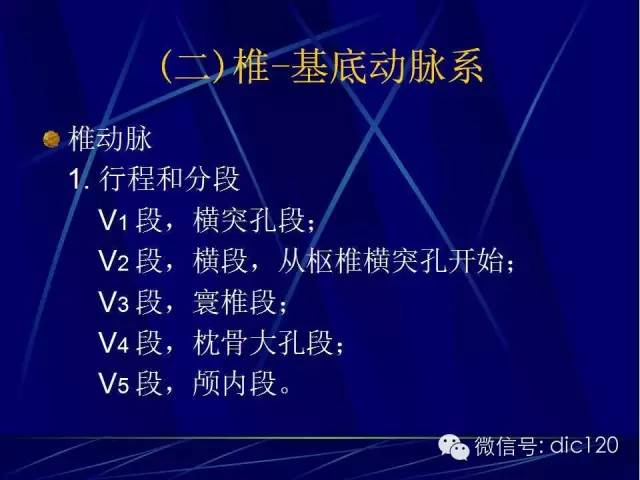 脑血管解剖技巧,脑血管解剖与介入