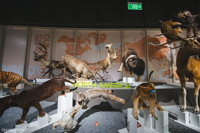 成都怎么玩一天一夜,如何在成都耍一天