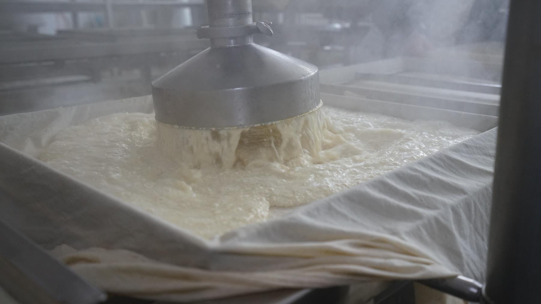 一盘鱼豆腐,一盘豆腐优惠团购