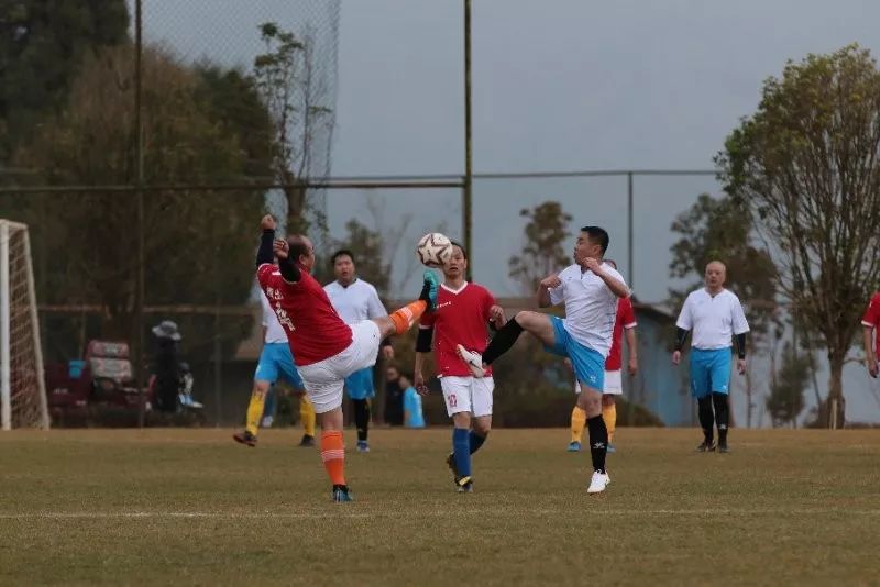 朝阳市公安局金盾杯开幕式,公安金盾杯篮球赛