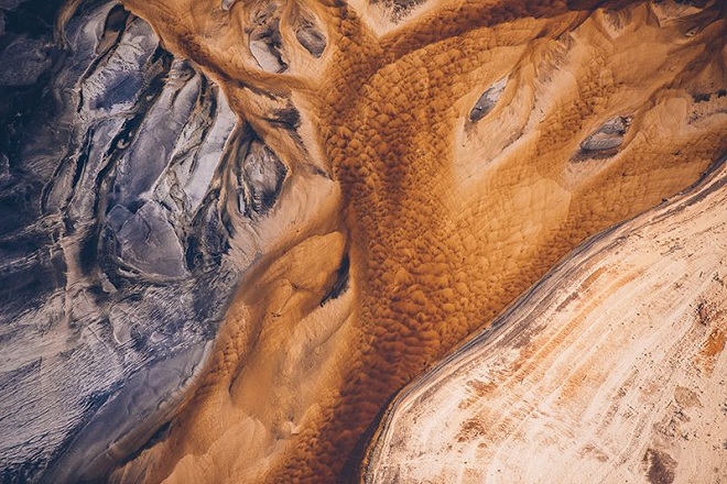 Nature：2018年度图片揭晓，中国克隆猕猴入选