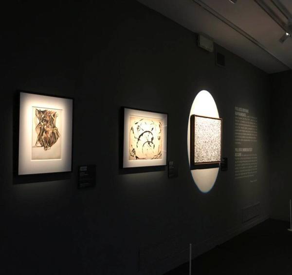 波洛克绘画作品欣赏,波洛克的绘画过程