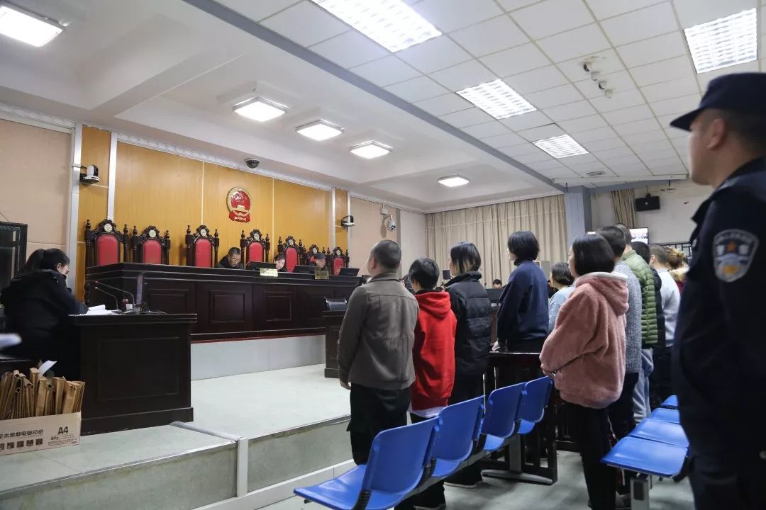 庭审直击5完整版,法院一审公开宣判诈骗案