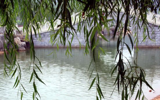 最新邯郸市已封小区名单,邯郸市小区名单