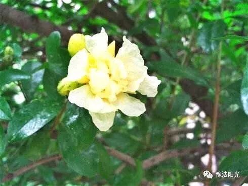 鏆楅娈嬬暀2018,钃︾劧鍥為鏆楅娈嬬暀