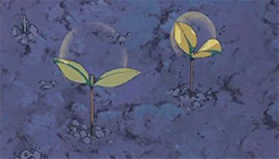 欧诗漫美白淡斑和净白淡斑的区别,真正有效的美白淡斑