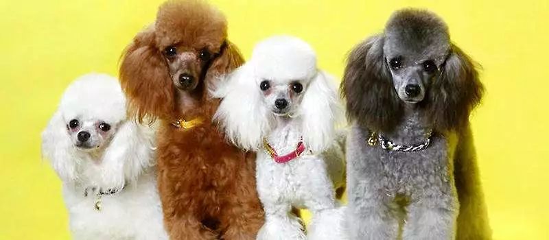 胳膊小臂上突然鼓了一个软包,儿童手臂有个硬硬的鼓包会移动