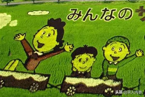 农业与艺术,农业可以很艺术