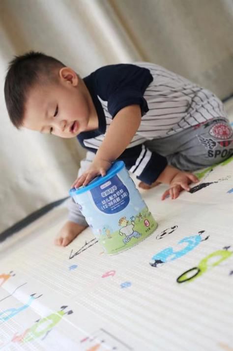 明星同款奶粉,明星同款孕妇奶粉