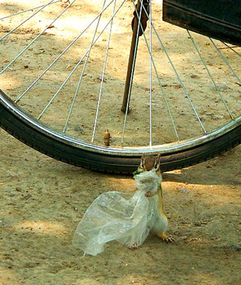 他做了15年自然测量员，只为得到更好的荒野