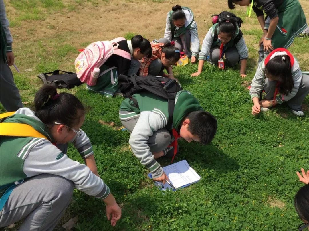 社团喜报,喜报我校实践团队获全国优秀团队