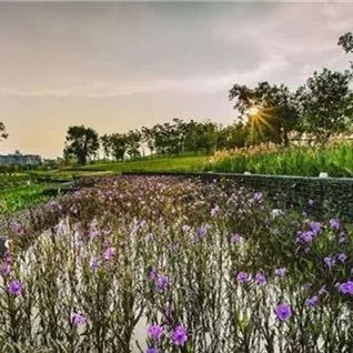 孩子眼中的最漂亮妈妈,儿童眼中的妈妈是最漂亮的