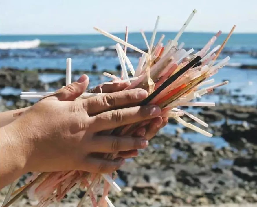 星巴克吸管缺点,星巴克吸管降解能用多少年