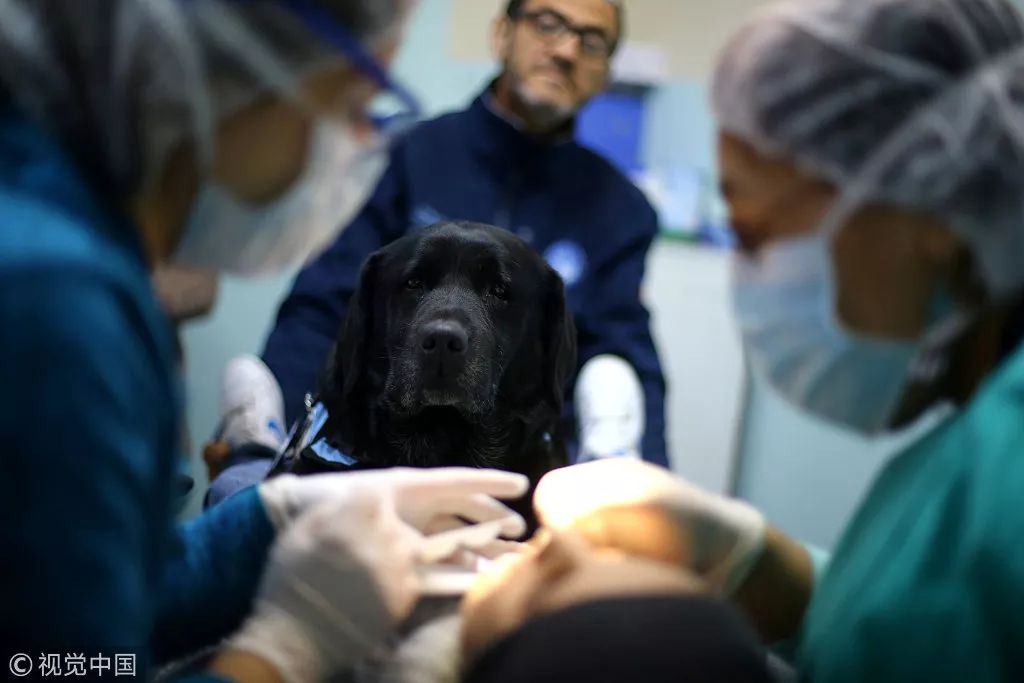 那些年小确幸,以前的那些小确幸