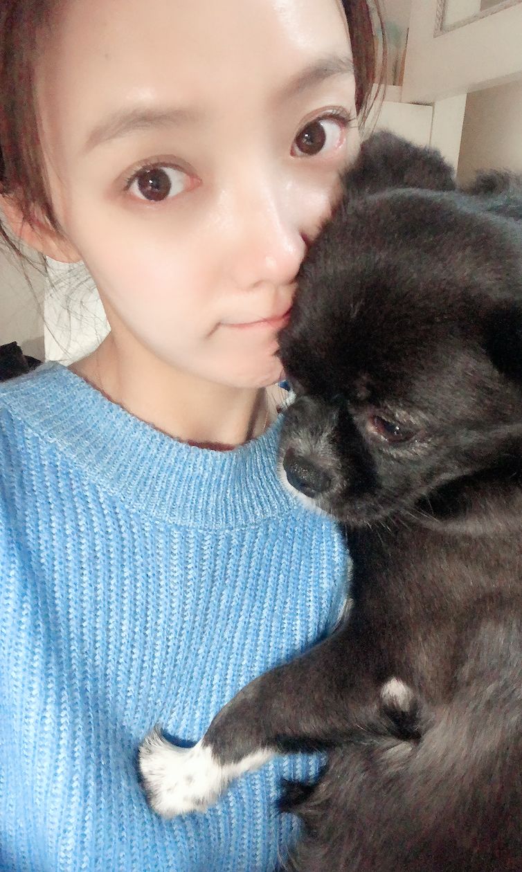 圣诞节绿毛怪格林奇,圣诞节出没的绿毛怪