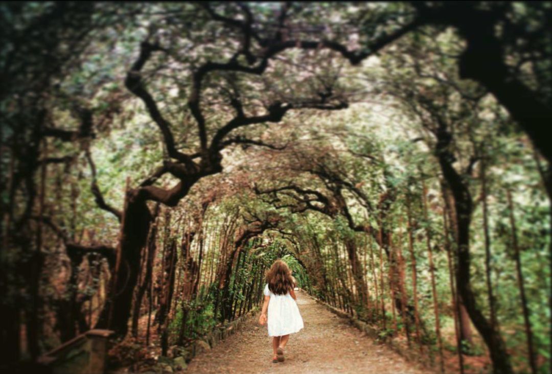 欧阳娜娜和小s现状,欧阳娜娜小s花店综艺