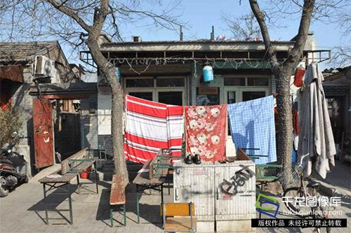 眼里只有南锣鼓巷、国子监？北京最新10条高颜值街巷在这呢