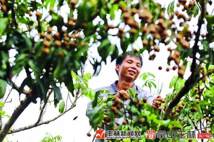 你真的了解博白吗？来了解一下！