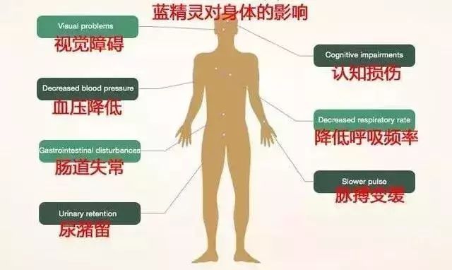 禁毒知识之大脑的伤害,禁毒知识必须得满分吗
