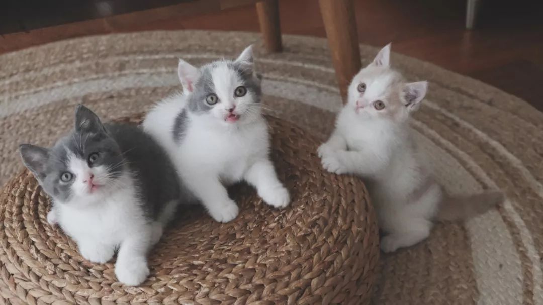 请接受一份2018年的礼物,2018年的新年礼物