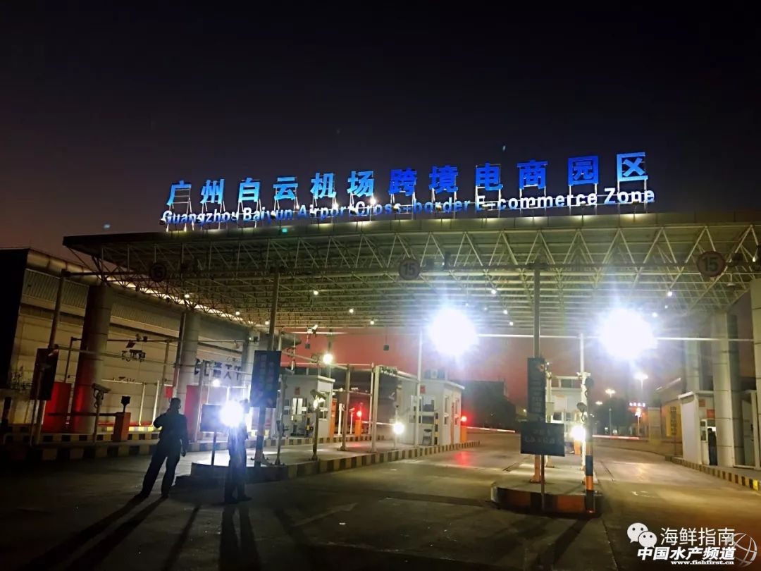 进口的三文鱼是新鲜的还是冷冻的,正宗挪威三文鱼购买渠道