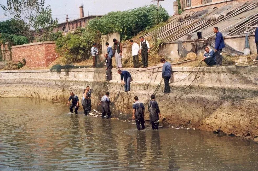 改革开放四十年监狱系统,监狱纪念改革40周年图片