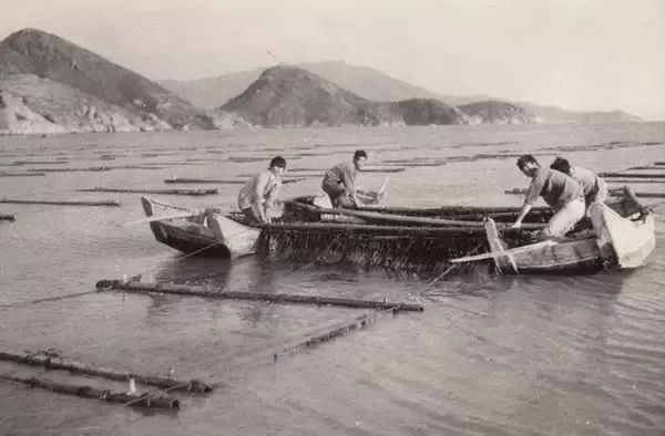 这里是宁德,这里是福建