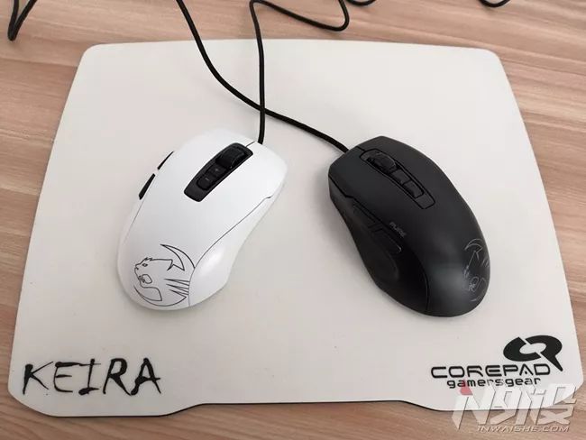 白冰豹子,黑冰和白冰视频