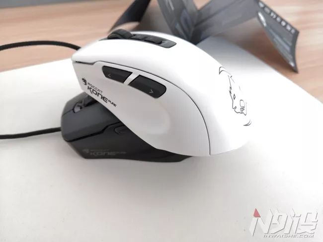 白冰豹子,黑冰和白冰视频